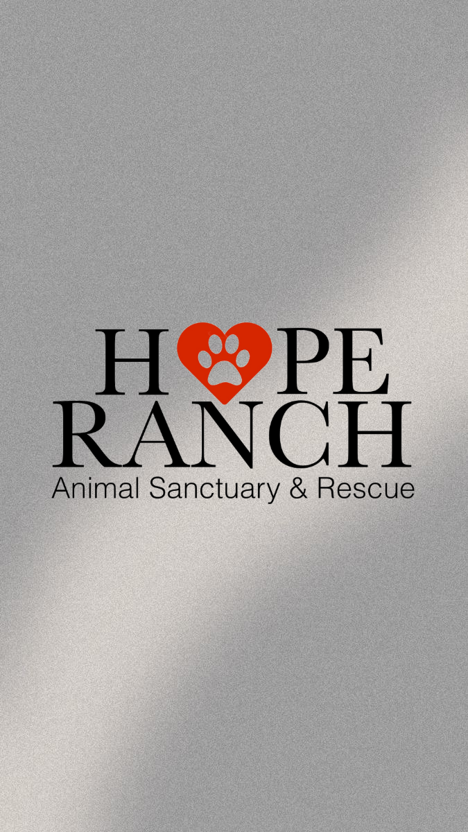 <h5>Hope Ranch Rescue</h5>